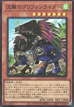Wandering Gryphon Rider