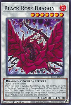 Black Rose Dragon