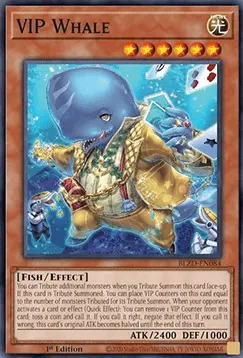 VIP Whale