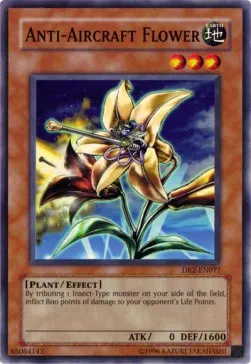 Anti-Aircraft Flower