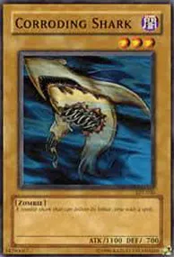 Corroding Shark