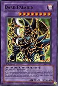 Dark Paladin