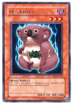 Des Koala