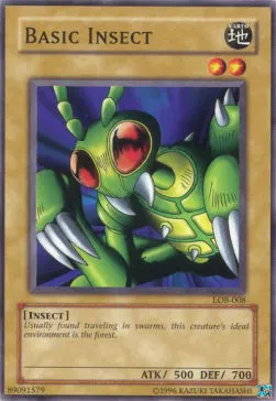 Basic Insect