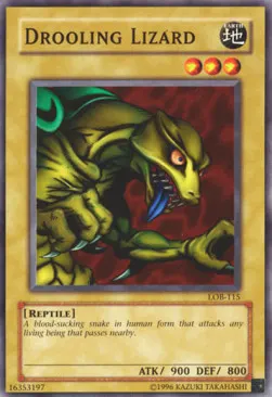 Drooling Lizard