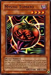 Mystic Tomato