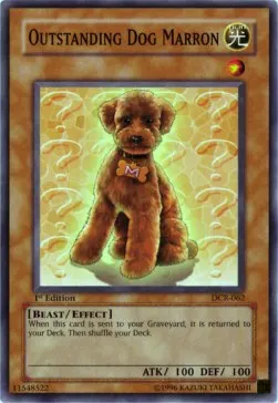 Outstanding Dog Marron