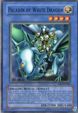 Paladin of White Dragon