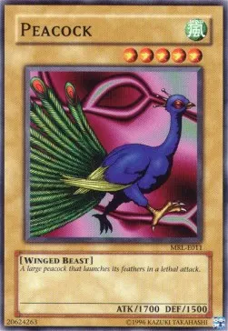 Peacock