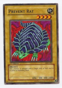 Prevent Rat