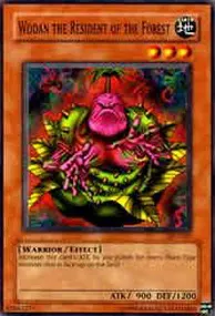 Wodan the Resident of the Forest