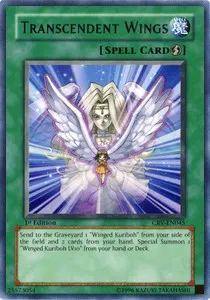 Transcendent Wings