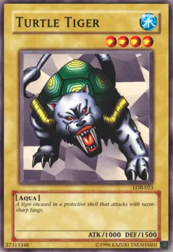 Turtle Tiger