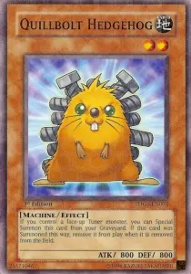 Quillbolt Hedgehog