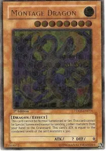 Montage Dragon