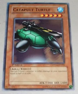 Catapult Turtle