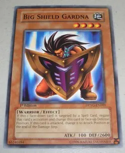 Big Shield Gardna