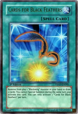 Cards for Black Feathers