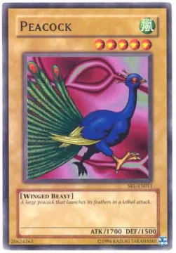 Peacock