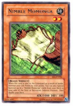 Nimble Momonga