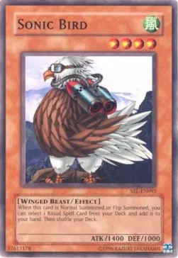 Sonic Bird