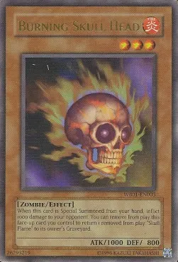 Burning Skull Head
