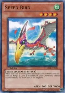 Speed Bird