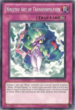 Ninjitsu Art of Transformation