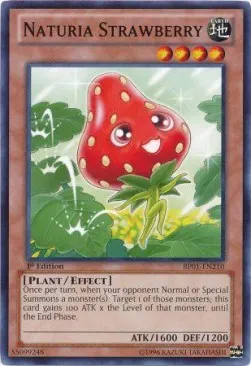 Naturia Strawberry