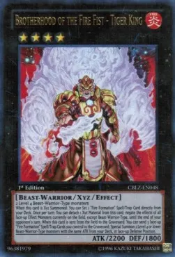 Brotherhood of the Fire Fist - Tiger King