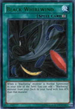 Black Whirlwind
