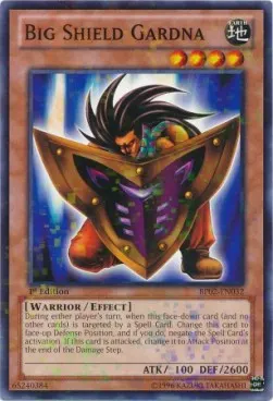Big Shield Gardna
