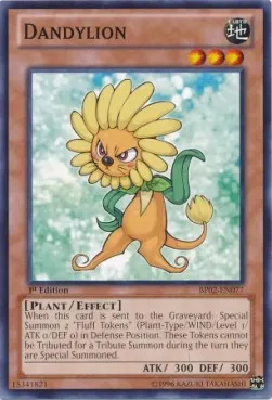Dandylion