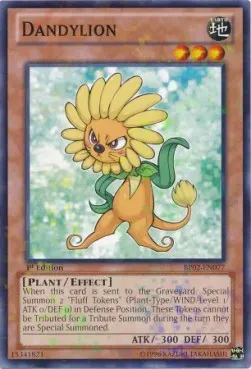 Dandylion