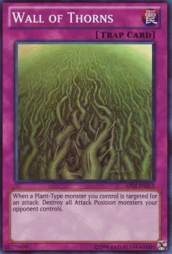 Wall of Thorns