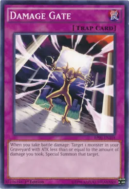 Damage Gate