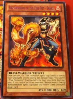 Brotherhood of the Fire Fist - Snake