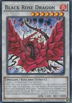 Black Rose Dragon