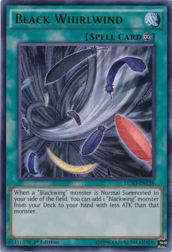 Black Whirlwind