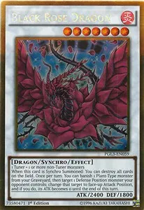 Black Rose Dragon