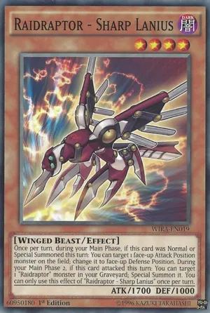 Raidraptor - Sharp Lanius
