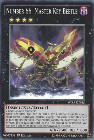 Number 66: Master Key Beetle