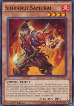 Shiranui Samurai
