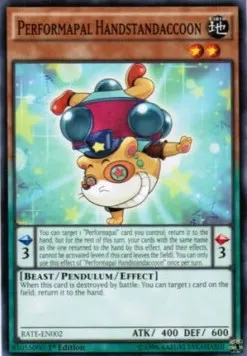 Performapal Handstandaccoon