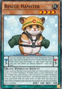 Rescue Hamster