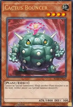 Cactus Bouncer