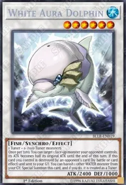 White Aura Dolphin
