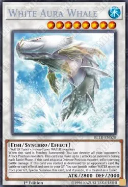 White Aura Whale