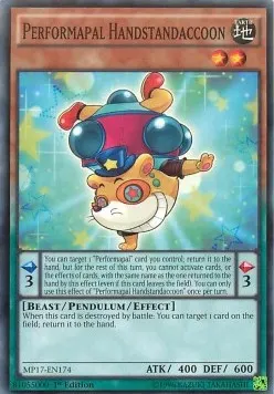Performapal Handstandaccoon