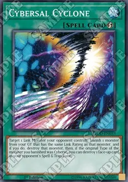 Cybersal Cyclone